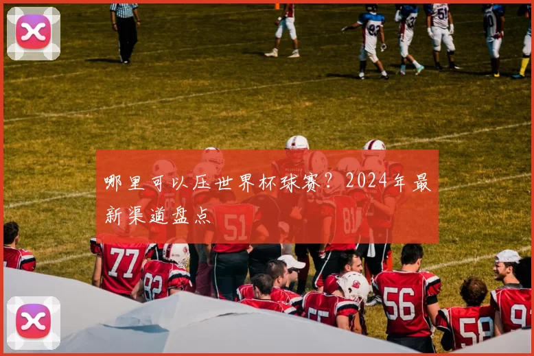 哪里可以压世界杯球赛?2024年最新渠道盘点