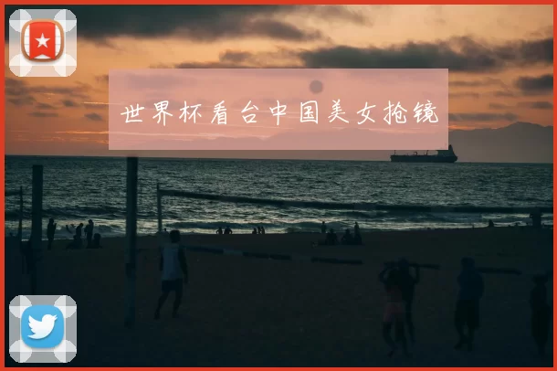世界杯看台中国美女抢镜