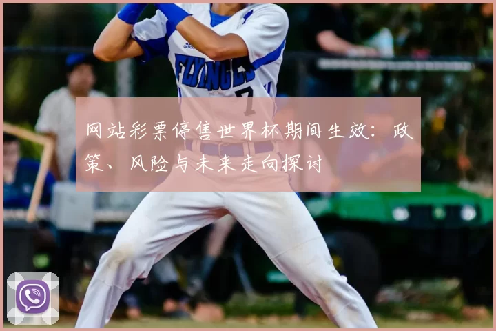 网站彩票停售世界杯期间生效:政策、风险与未来走向探讨