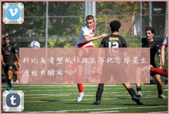科比高清壁纸4k版发布纪念球星生涯经典瞬间