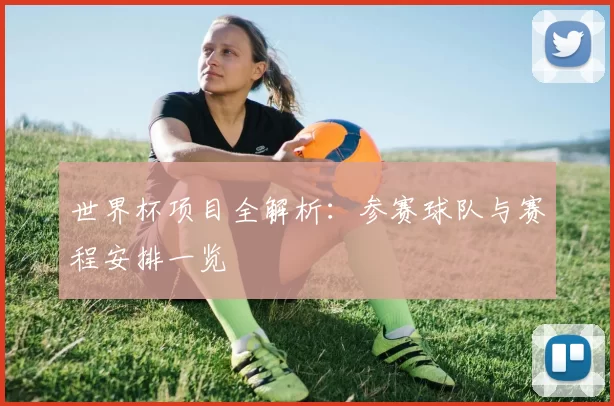 世界杯项目全解析:参赛球队与赛程安排一览