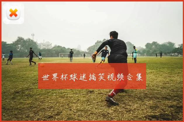 世界杯球迷搞笑视频合集