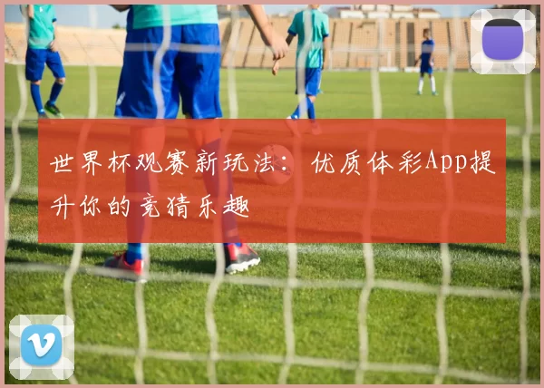 世界杯观赛新玩法:优质体彩App提升你的竞猜乐趣