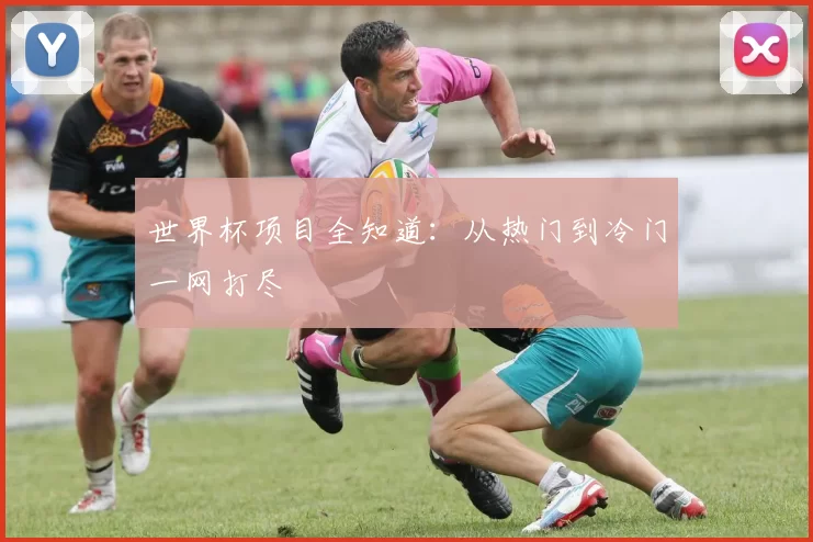 世界杯项目全知道:从热门到冷门一网打尽