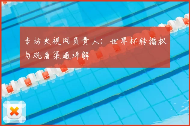 专访央视网负责人:世界杯转播权与观看渠道详解