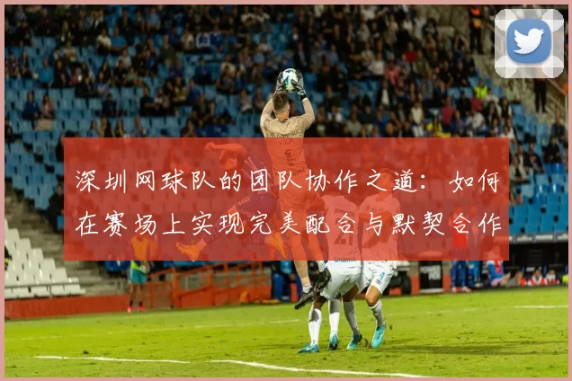 深圳网球队的团队协作之道:如何在赛场上实现完美配合与默契合作