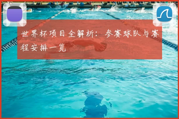 世界杯项目全解析:参赛球队与赛程安排一览